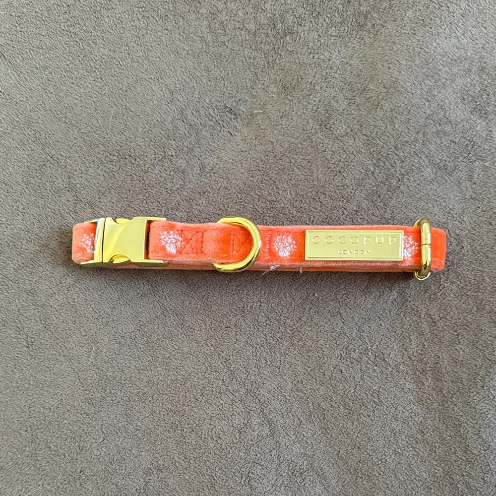Coral Embroidered Dog Harness Leash Collar Set Gold Orange pink surfer beach fun